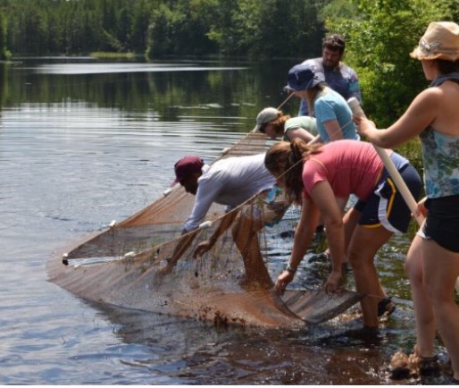 Seining at the River's edge